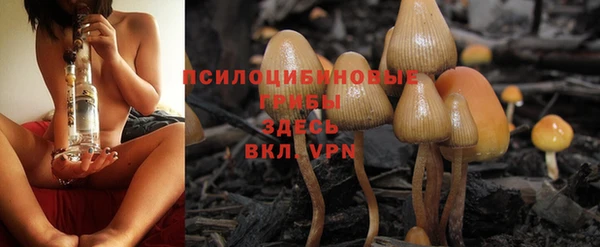 прущая мука Белокуриха